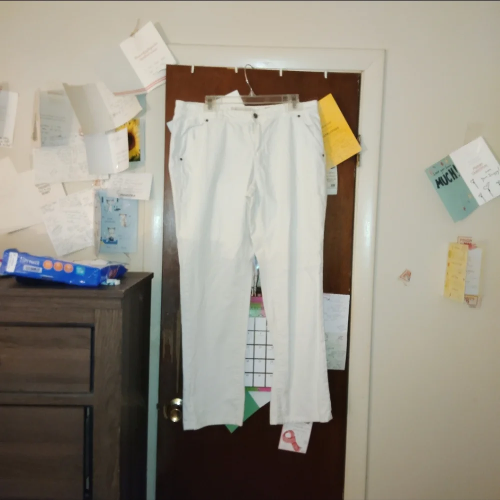 PILCRO & THE LETTERPRESS anthropology High Rise White Jeans Size 32" - Picture 2 of 11